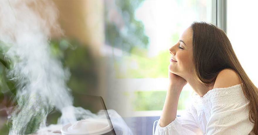 humidificar el aire con ozono