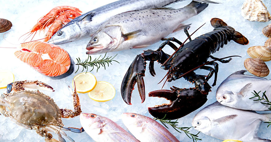 ozono para pescado y marisco