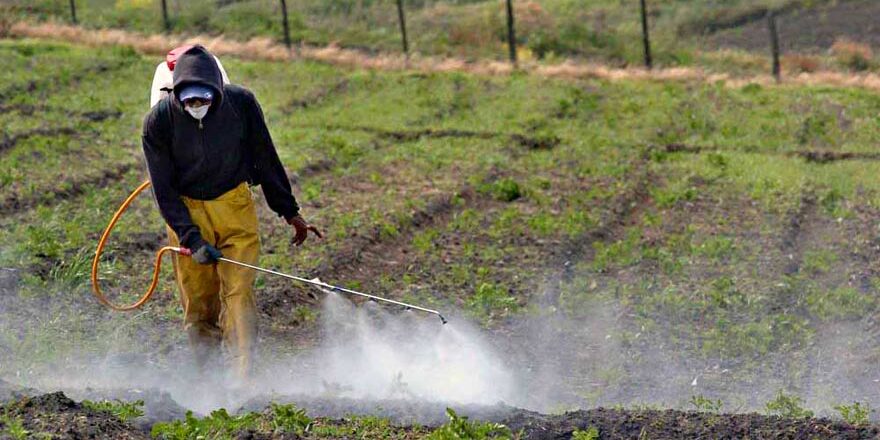 Ozono en suelos agricolas