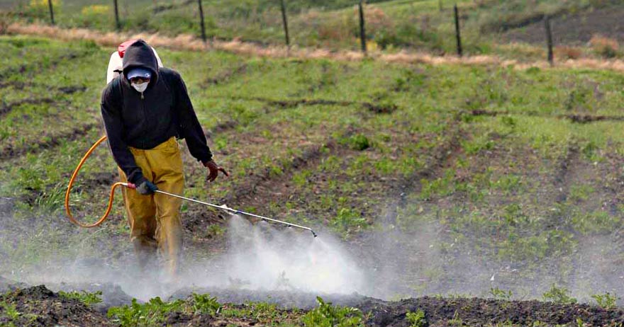 Ozono en suelos agricolas