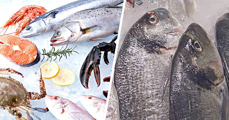 Ozono en el glaseado de pescado
